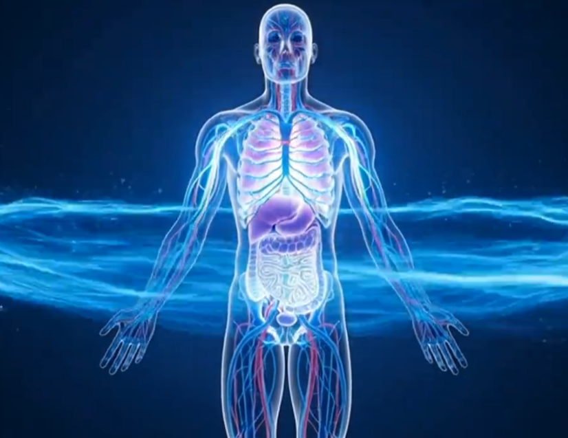 water in human body facts